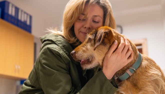 A dog with a pet parent