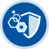 Shield Icon